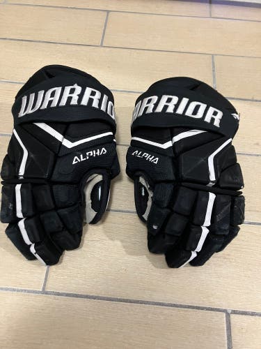Warrior Alpha LX2 Pro Gloves 14" Pro Stock (Used)