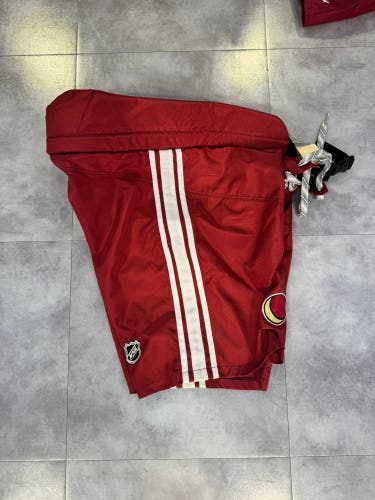 Pro Stock Arizona Coyotes Easton Pant Shell, XL Senior