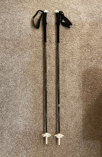 46in (115cm) Black Diamond All Mountain Ski Poles (Used)