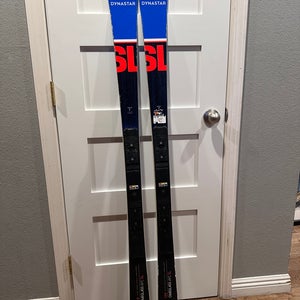 Dynastar Speed Omeglass World Cup SL 150 cm skis