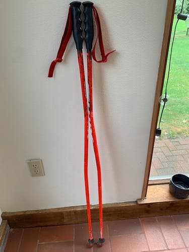 Ski Poles