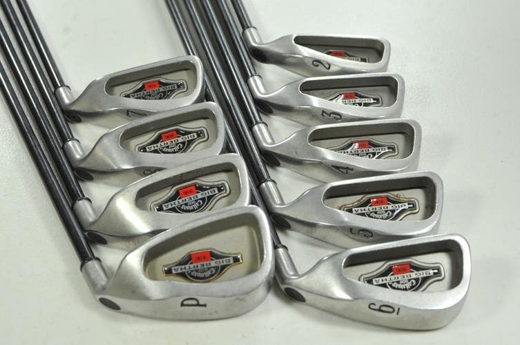 Callaway Big Bertha 2002 2-PW Iron Set Regular Flex RH RCH 96 Graphite # 203651