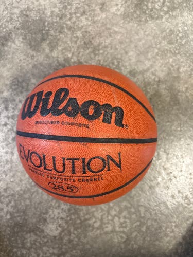 Women's Wilson Basketball (Used)
