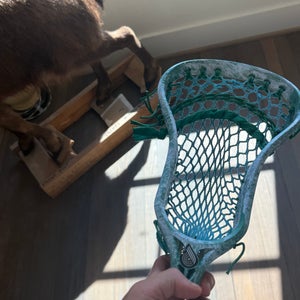 Powell Strung custom dye 1/1 head (BRAND NEW)