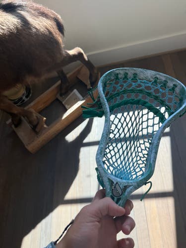 Powell Strung custom dye 1/1 head (BRAND NEW)