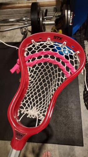 STX Strung Stallion Dragonfruit PRISM Head