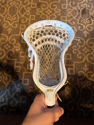 STX Strung Stallion Head (Used)