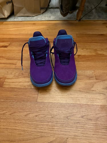 LeBron air zoom nxxt