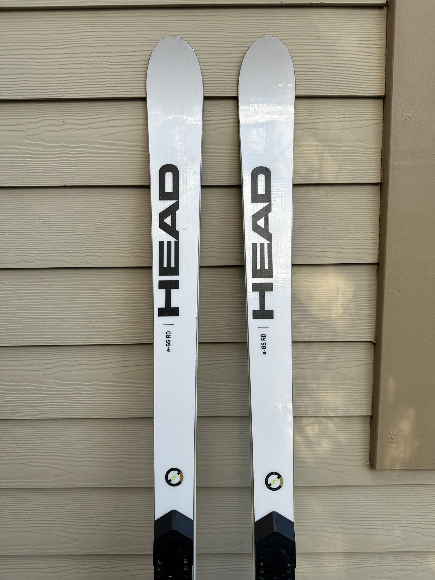 HEAD World Cup Rebels e-GS RD 186 cm Racing Skis Without Bindings