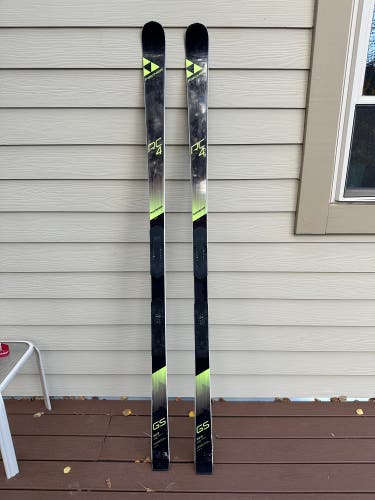 Fischer RC4 World Cup GS 193 cm Racing Skis (Used)