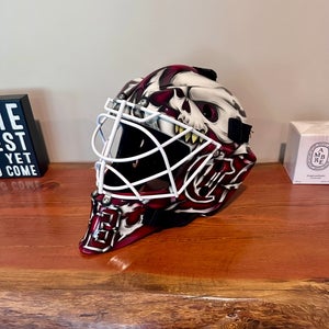 New Custom built & painted pro 960 Goalie Mask