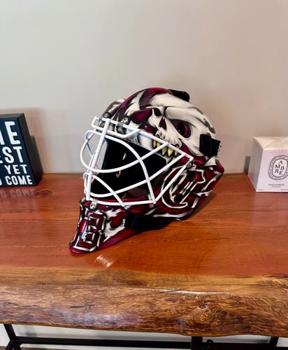 New Custom built & painted pro 960 Goalie Mask