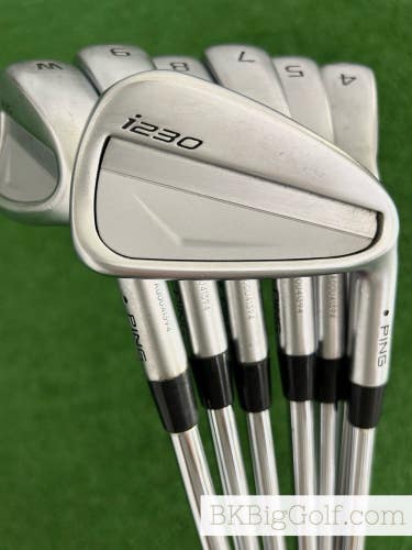 Ping i230 Iron Set 4-W / True Temper Elevate 95 Regular