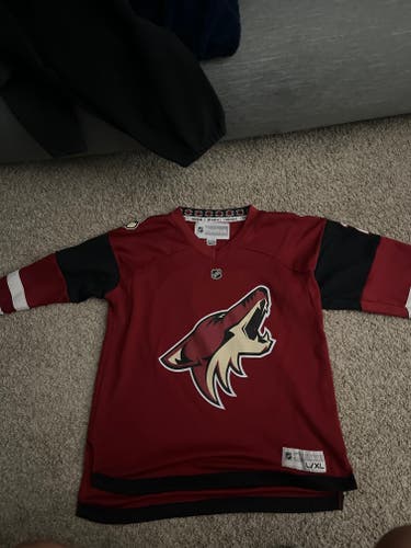 Youth Phoenix coyotes Reebok jersey