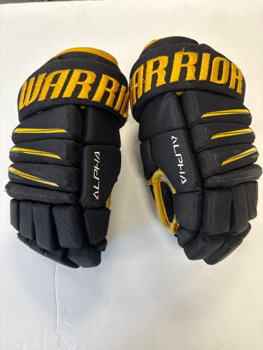 Warrior Alpha QX4 Gloves 10" (Used)