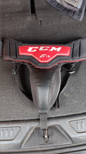 Intermediate CCM (Used)