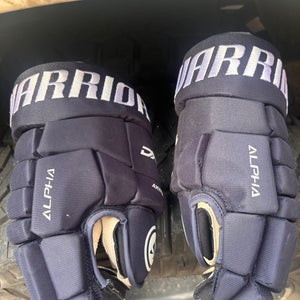 Warrior Alpha DX4 Gloves 14" (New)