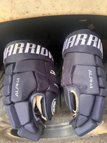 Warrior Alpha DX4 Gloves 14" (New)