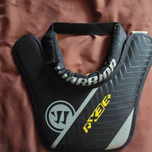 Warrior (Used)