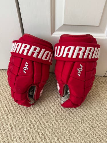 Warrior Dynasty AX1 Gloves 14" (Used)