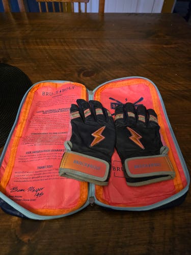 Batting Gloves (Used)