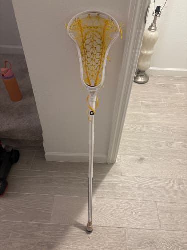 Adult Gait Apex Stick (New)