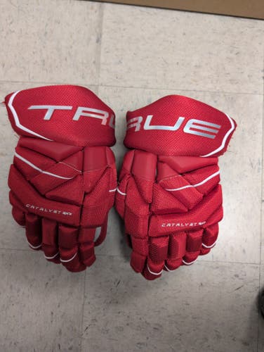 True Catalyst 9X3 Gloves 14" (Used)