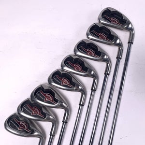 Callaway Big Bertha 2006 Iron Set 4-PW+SW Regular Steel Mens RH