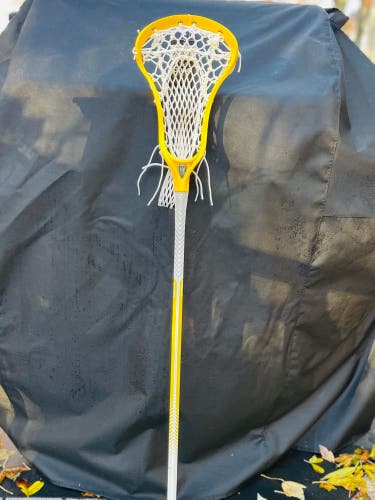 Brine Dynasty 2