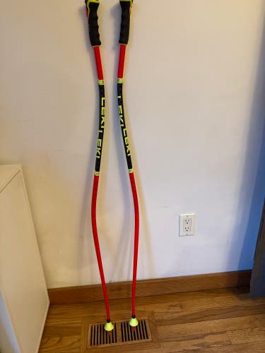 Leki Trigger 3D WCR SG I DH
