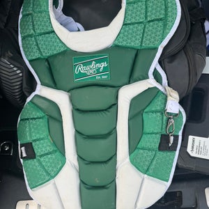 Rawlings Catcher's Set (Used)