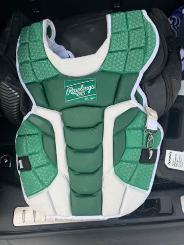 Rawlings Catcher's Set (Used)