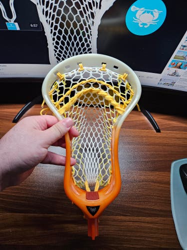 ECD Strung Weapon X Head (New)