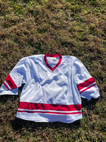 White Goalie Cut Men's Hockey Jersey (Used)