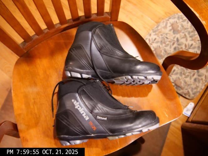 Classic Size EU44 Alpina TR25 Cross Country Ski Boots (Used)
