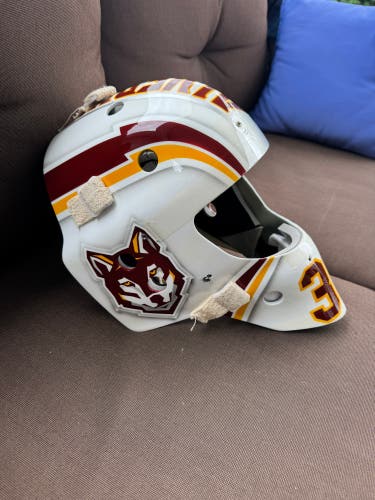 Armet Senior Large Goalie Mask (Used)