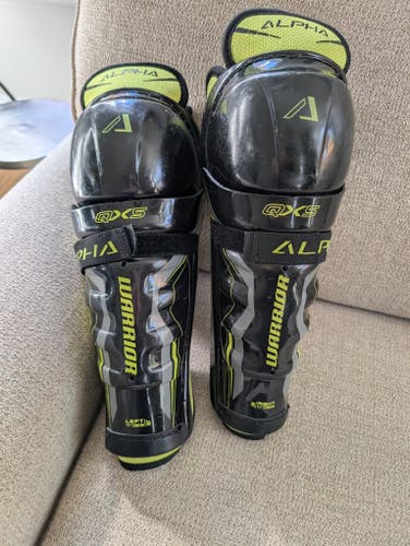 Junior 11" Shin Pads (Used)