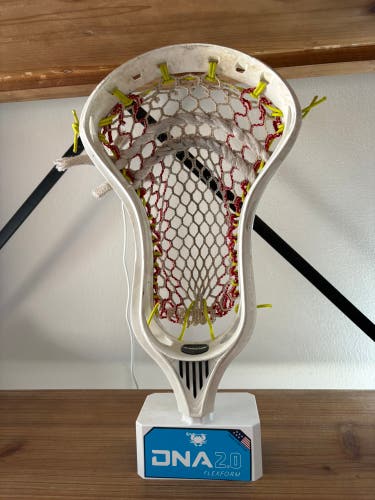 True Hzrdus Strung Head (Used)