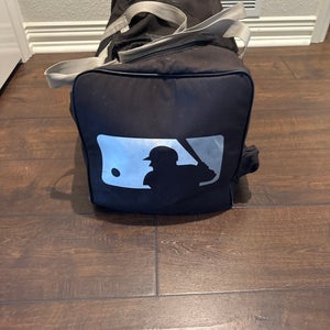 MLB issue (no team) baseball Bat Bag (Used)