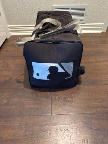 MLB issue (no team) baseball Bat Bag (Used)