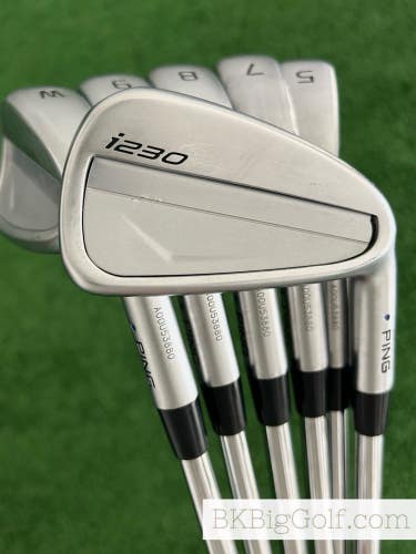 Ping i230 Iron Set 5-W / Dynamic Gold EX 120 Stiff