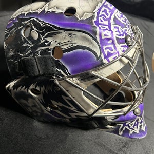 Senior Large Bauer 960 Goalie Mask (Used)