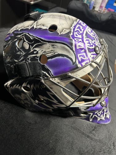 Senior Large Bauer 960 Goalie Mask (Used)