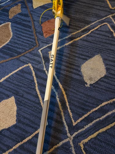 Adult Gait air 2 Stick (Used)