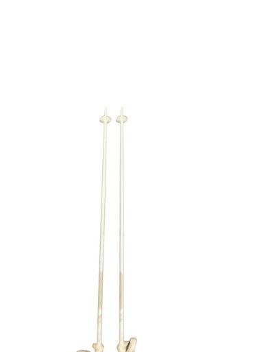 Used Salomon ARCTIC LADY Womens DH Ski Pole White 120 cm / 48 in 11823-S000035448