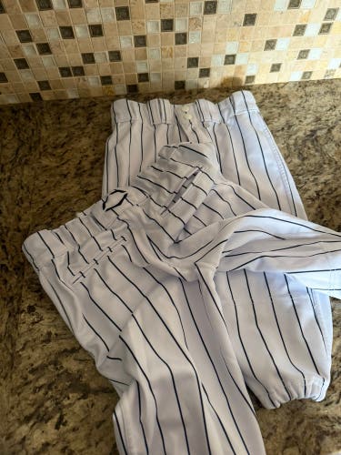 Unisex Medium Youth EvoShield Game Pants (Used)