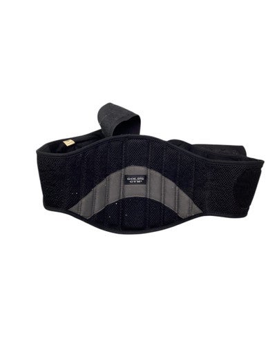Used Golds Gym Exercise Accessory Other 11347-S000258121