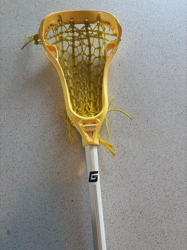 Gait Stick (Used)