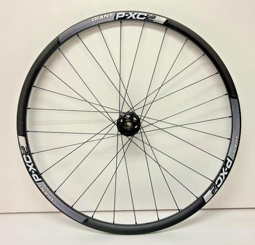 Giant P-XC2 28-Spoke Black Aluminum Disc Brake Thru Axle 29er Front Wheel CLEAN