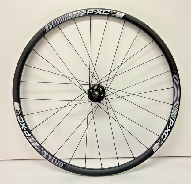 Giant P-XC2 28-Spoke Black Aluminum Disc Brake Thru Axle 29er Front Wheel CLEAN